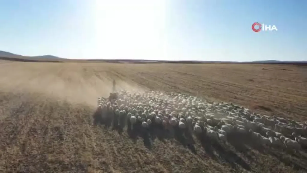 Tarıma Dayalı İhtisas BESİ OSB Erzincan ekonomisine 3 milyar 600 milyon TL katkı sağlayacak