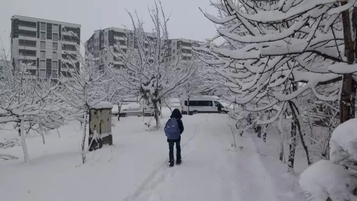 Bitlis'te kar yağışı; 80 köy yolu kapandı