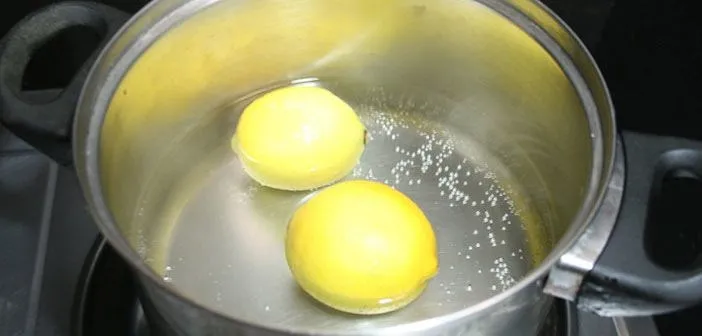 Kuruyan limon nasıl eski haline getirilir? - 1