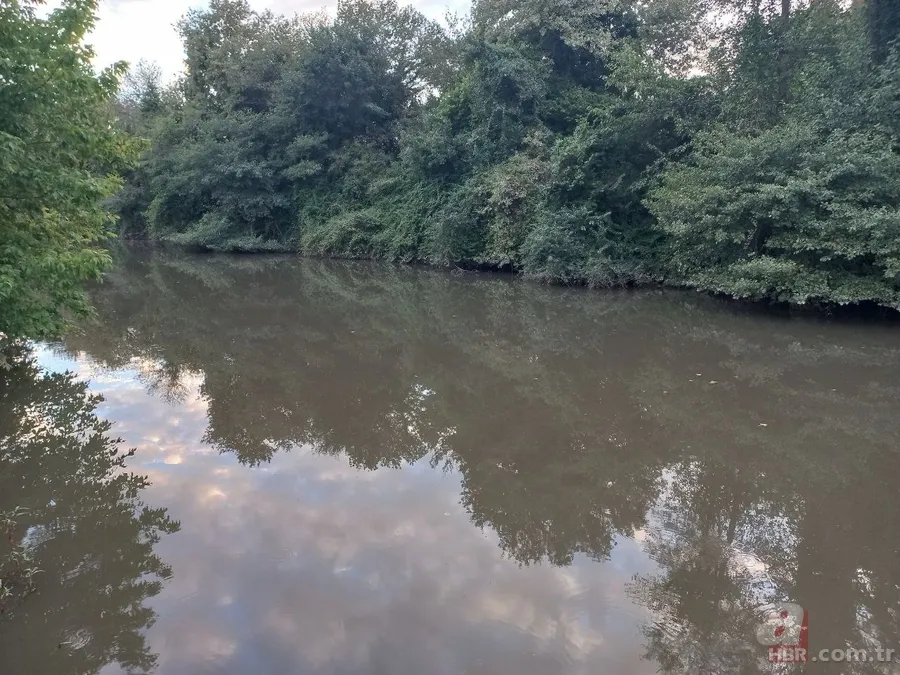 Cennet Riva ölüyor! 27 aydır Ekrem İmamoğlu'nun keyfini bekliyor 4