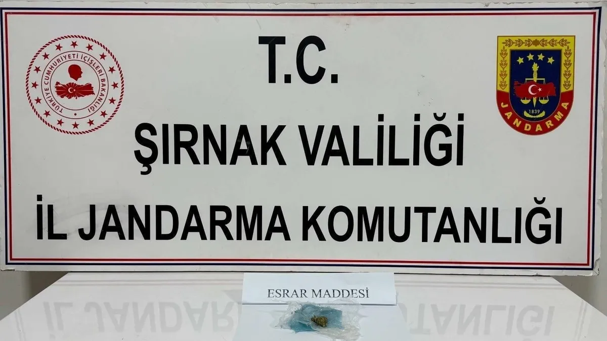 Şırnak'ta asayiş operasyonu! Jandarma 4 milyon liralık kaçakçılığı önledi: 43 gözaltı