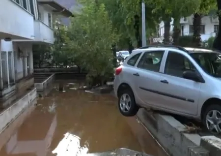 Muğla'da sel ve heyelan! Felaket gün ağarınca ortaya çıktı