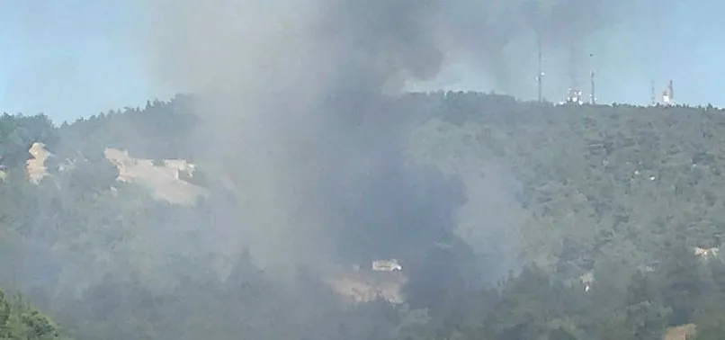 Son dakika: Çanakkale'de orman yangını