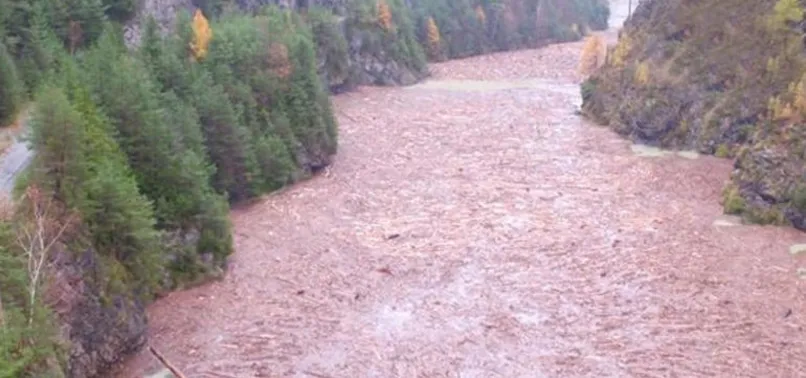 İtalya’da fırtına 14 milyon ağacı devirdi