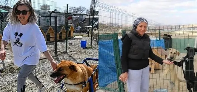 Mama bağışlarını ceplerine indirdiler! Hem kişisel hem aile üyelerine hesaplarına milyonlar gönderdiler