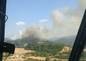 Çanakkale'de orman yangını!