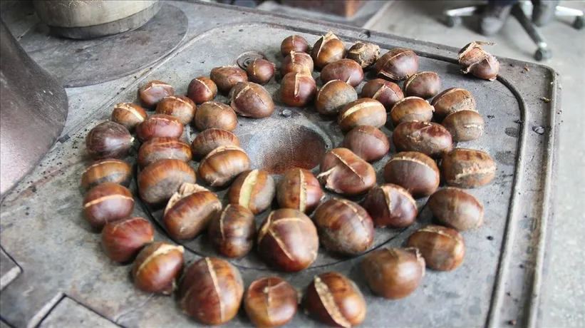 3 tanesi 1 dilim ekmek yerine geçiyor! Fazlası kilo yapıyor...