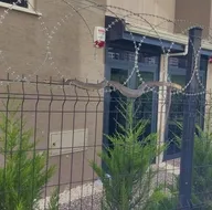 Camlardan izlediler! Görenler gözlerine inanmadı