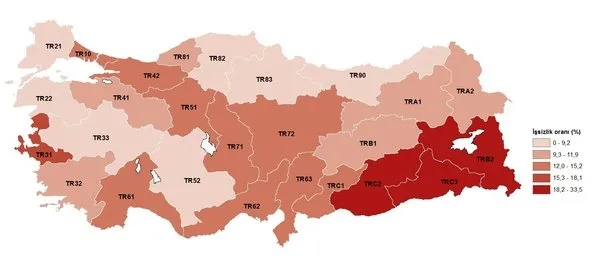 Son dakika: İşsizlik rakamları açıklandı! - 9