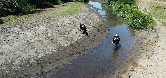 Tunca Nehri’nde kuraklık baş baş gösterdi!