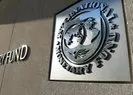 IMFden Ukraynaya milyar dolarlık ödemeye onay