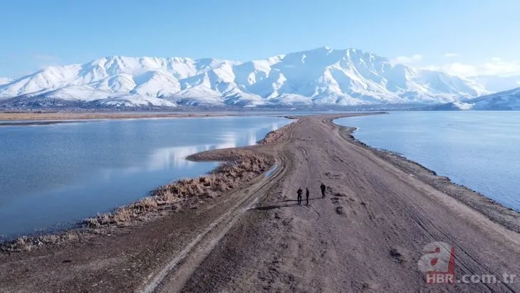 Van’dan endişe veren görüntü! 2 kilometre çekildi