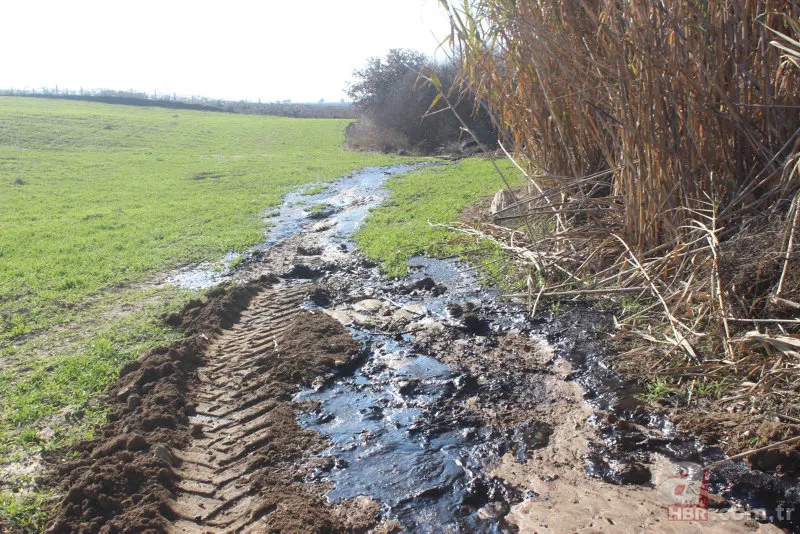Tarlasında su ararken buldu! O ilimizde ikinci kez PETROL heyecanı… A Haber görüntüledi: Meslek hayatım boyunca benzerini görmedim 1