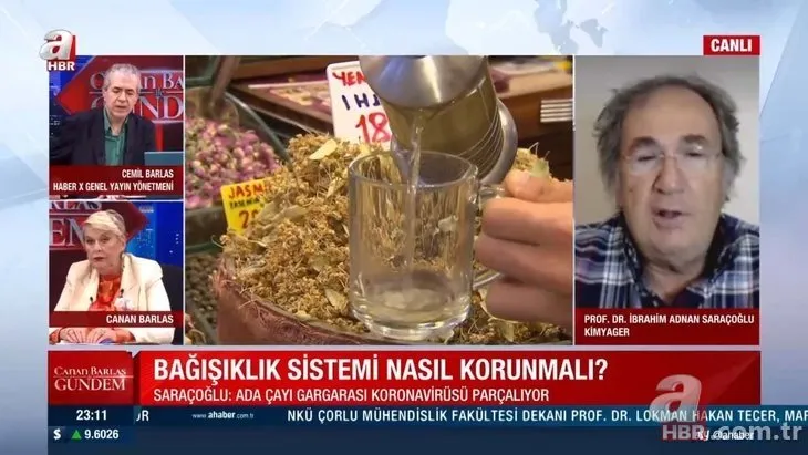 Adaçayı... Ihlamur... Kuşburnu... Hepsi doğal şifa deposu! Hangi bitki çayı neye iyi geliyor? İşte yanıtı...