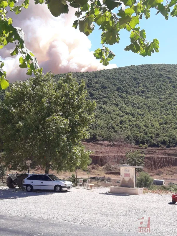 Bursa Yenişehir'de korkutan orman yangını! 7