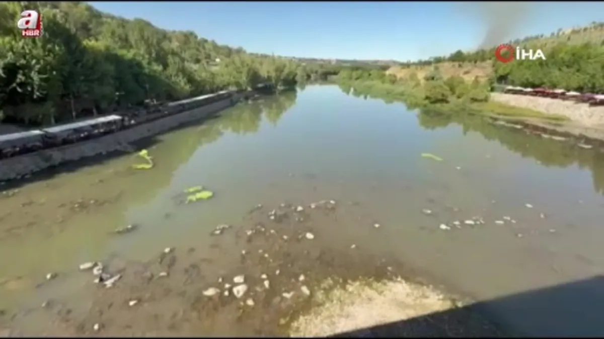 Dicle Nehri'nde balık ölümleri görüldü