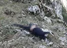 Cansız bedeni bulundu