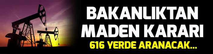 Enerji ve Tabii Kaynaklar Bakanı Fatih Dönmez: Enerjide yeni dönemde üç öncelik olacak - 2