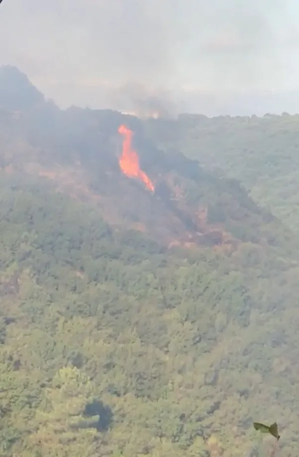 İstanbul Sultangazi’deki orman yangını kontrol altına alındı: Yaklaşık 10 dönüm alan kül oldu