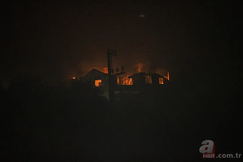 Sakarya’da ciğerlerimiz yanıyor! Hasarın boyutu gün ağarınca ortaya çıktı 21