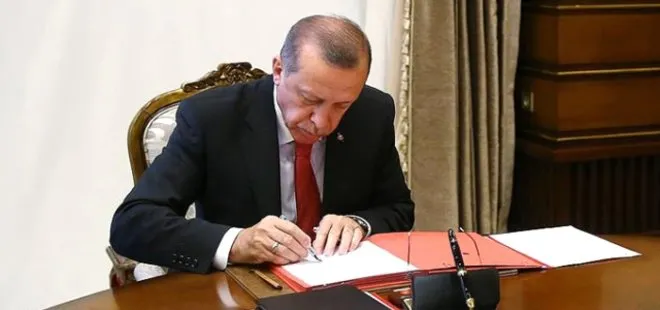 ’Açıköğretim psikoloji eğitimi’ için ön rapor Başkan Erdoğan’a sunuldu