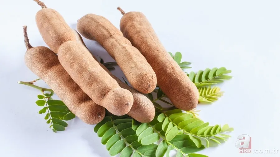 Kanuni Sultan Süleyman, Fatih Sultan Mehmet... Osmanlı padişahlarının şifa baharatı: Bir tek ölüme derman değil 7