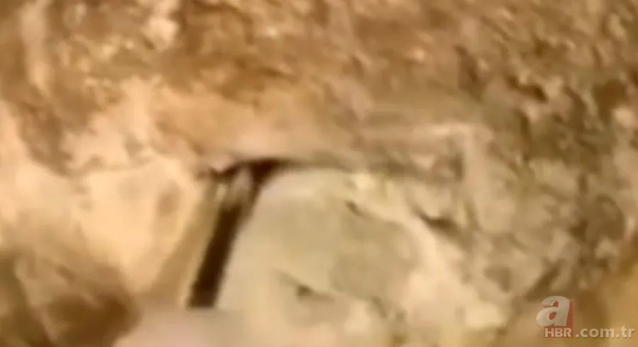 ''Defineyi koruyan yılan'' efsanesi gerçek oldu! Taş kesilmiş yılanın hikayesi ürküttü 2