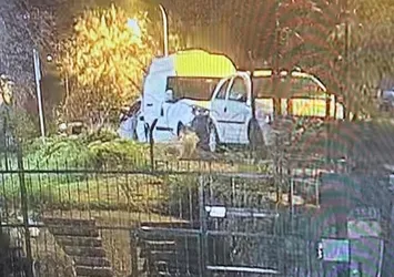 Vicdansızlığın böylesi! Dehşet anları anbean görüntülendi
