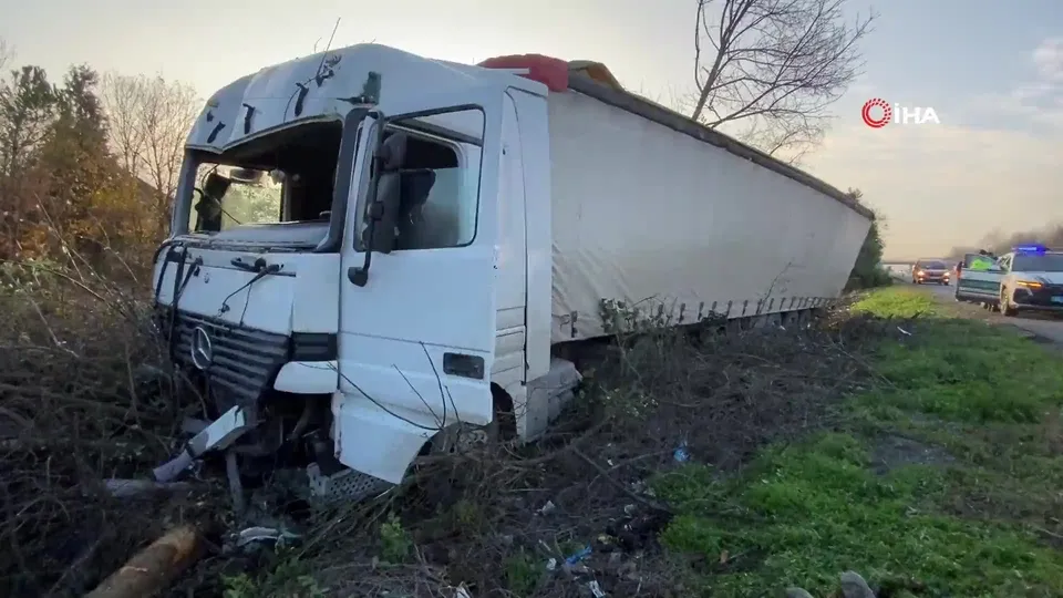 Yoldan çıkan tır, ağaçlık alana uçtu!