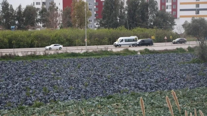 Yol kenarındaki arazilerde üretilen 'köy ürünü'nde büyük tehlike! Uzman isimden kritik uyarı geldi - 3