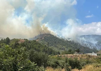 Hatay'da çıkan orman yangını kontrol altına alındı