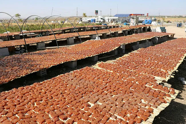 Unutulmaya yüz tutan yöresel lezzeti yaptılar taleplere yetişemiyorlar - 4