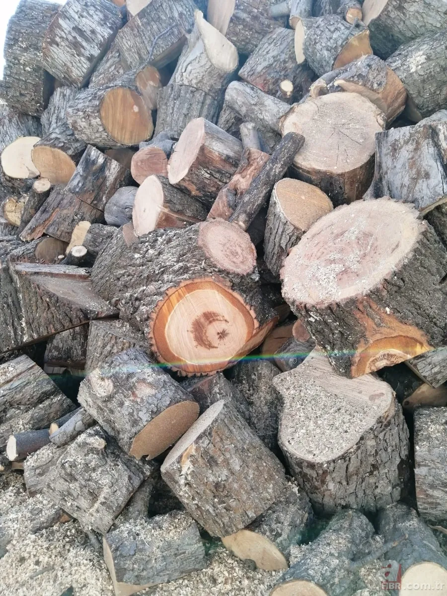 Yol yapımı sırasında bulundu! Milyonlarca yıllık… 10