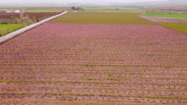Çiftçilere 10 yıl vadeli ucuz kredi! Gençlere ve kadınlara destek! İşte ürünler