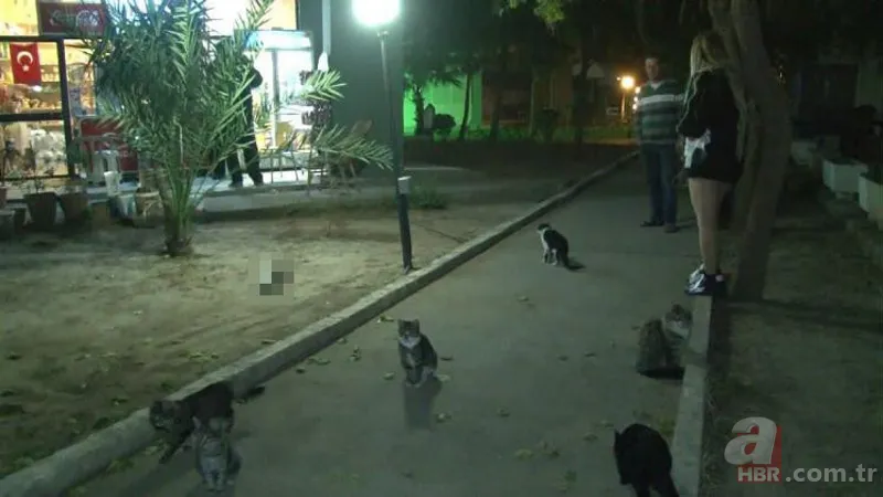 Antalya'da vahşet! Ağaca asılı halde bulundular 14