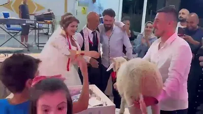 Takı yerine ilginç hediye