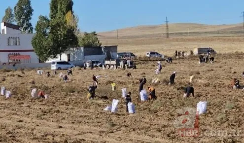 "Ücretsiz"i duyan torbasıyla koştu! Adeta akın ettiler 5