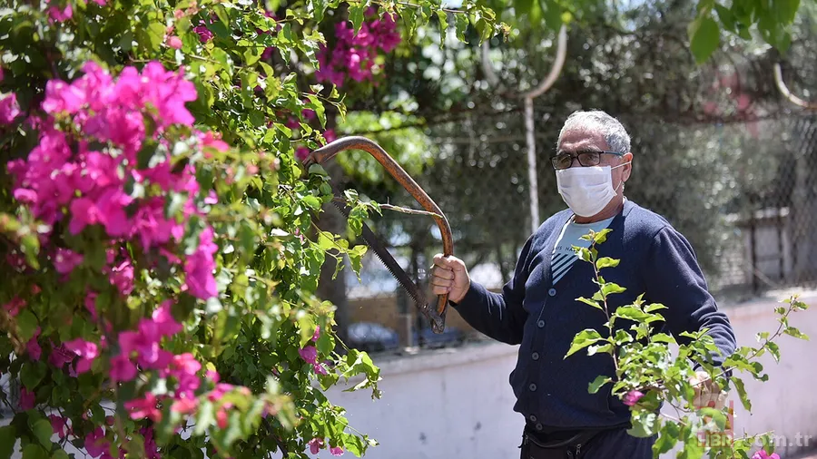65 yaş üstü sokağa çıkma yasağı kalktı mı? 65 yaş üstü toplu taşıma araçlarını kullanabilecek mi? Kabine kararları... 6