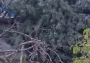 Ankara'da etkili olan rüzgar konterner evi devirdi! 1 kişi öldü