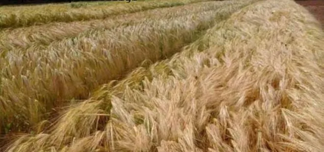 BİR ÜRÜN DE DAHA VERGİ SIFIRLANDI!