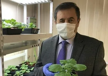 Devrim niteliğindeki çalışmayı duyurdular! Kovid-19'un yıkıcı etkisini azaltacak...