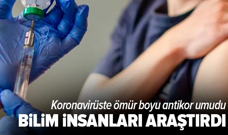 Bilim insanları araştırdı! Koronavirüste ömür boyu antikor umudu