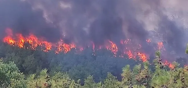 Çanakkale’de orman yangını! Havadan ve karadan müdahale