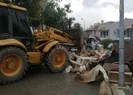 ‘Bazısını gömdüm, bazısını torbalayıp balkona koydum’