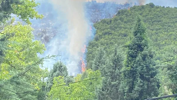 Son dakika: Gebze’de orman yangını - 2