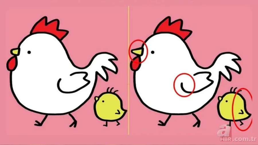 Zeka Testi: Tavuk ve civciv resimleri arasındaki farkı 15 saniyede sadece şahin gözlüler buluyor! 3