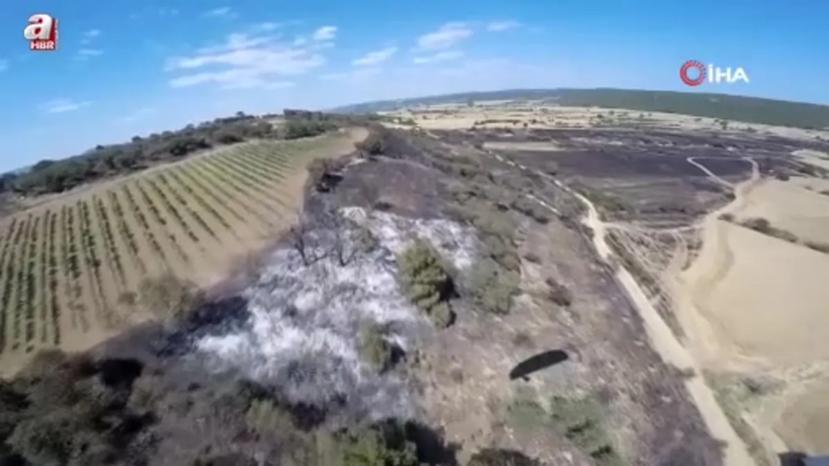 Keşan'da söndürülen yangının zarar verdiği alan havadan görüntülendi