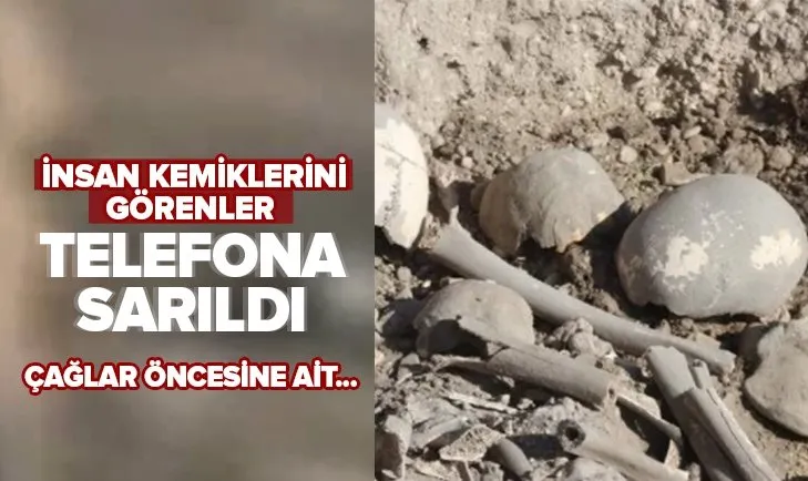 Van Gölü kenarında insan kemikleri bulundu