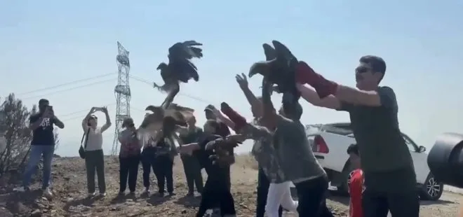 Hatay'da 11 yaralı kuş tedavilerinin ardından doğaya salındı