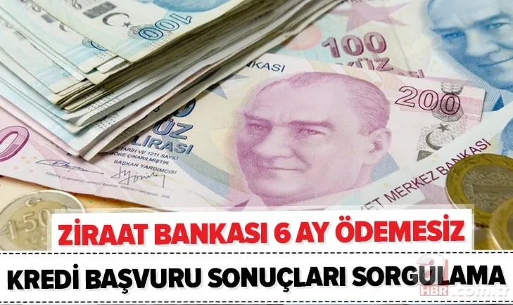 Ziraat Bankası 6 ay geri ödemesiz kredi sonuçları öğrenme ekranı! 10.000 TL destek kredisi başvuru şartları 1